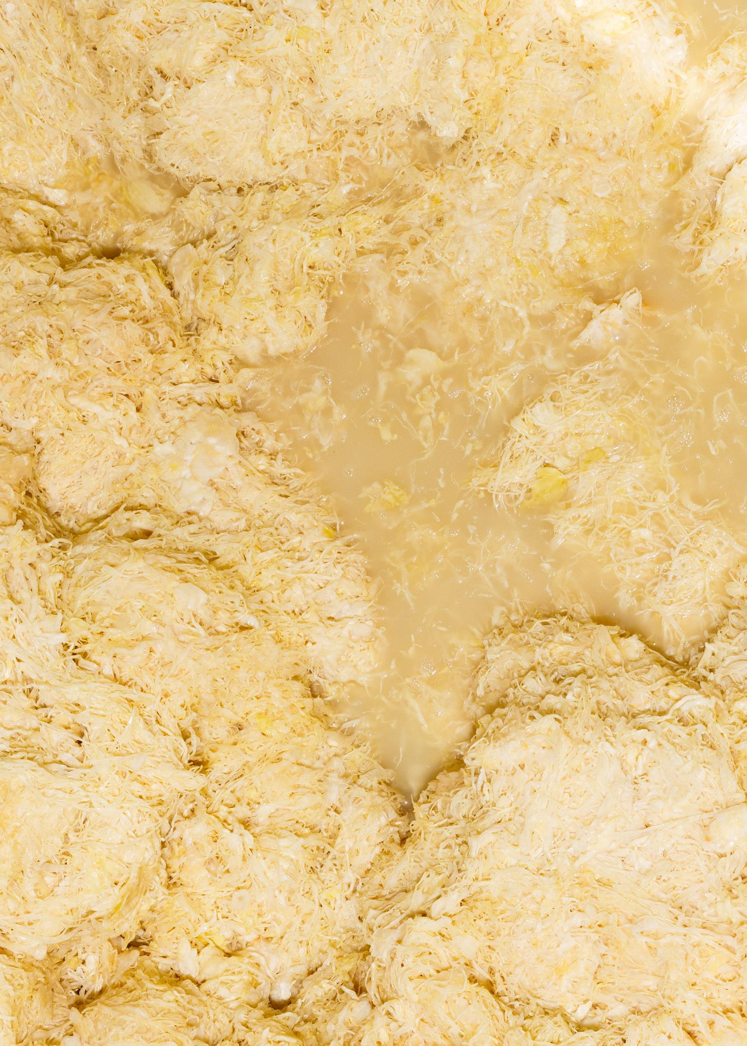 Wildfermentation: Warum unser Sauerkraut ein echtes Naturprodukt ist