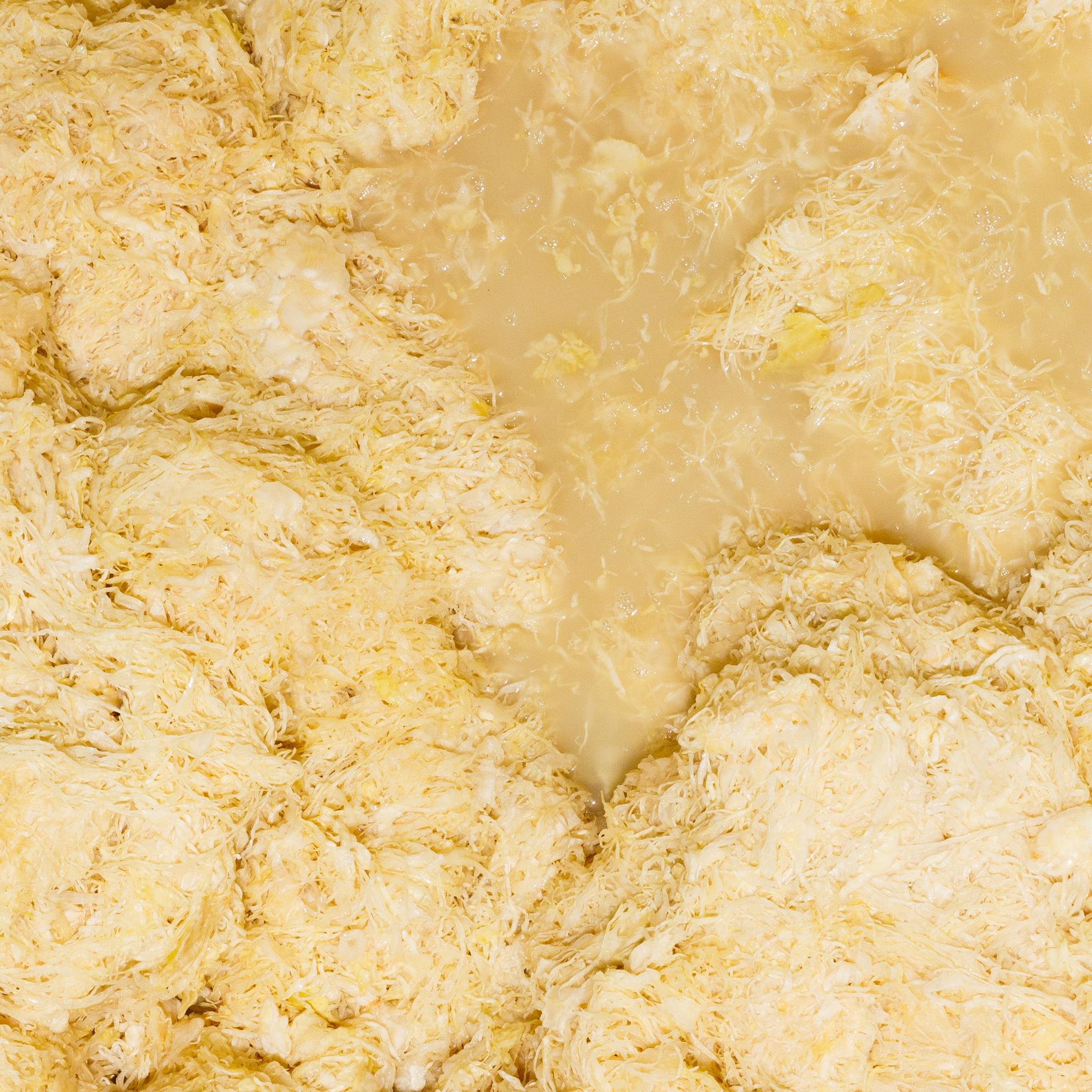 Wildfermentation: Warum unser Sauerkraut ein echtes Naturprodukt ist