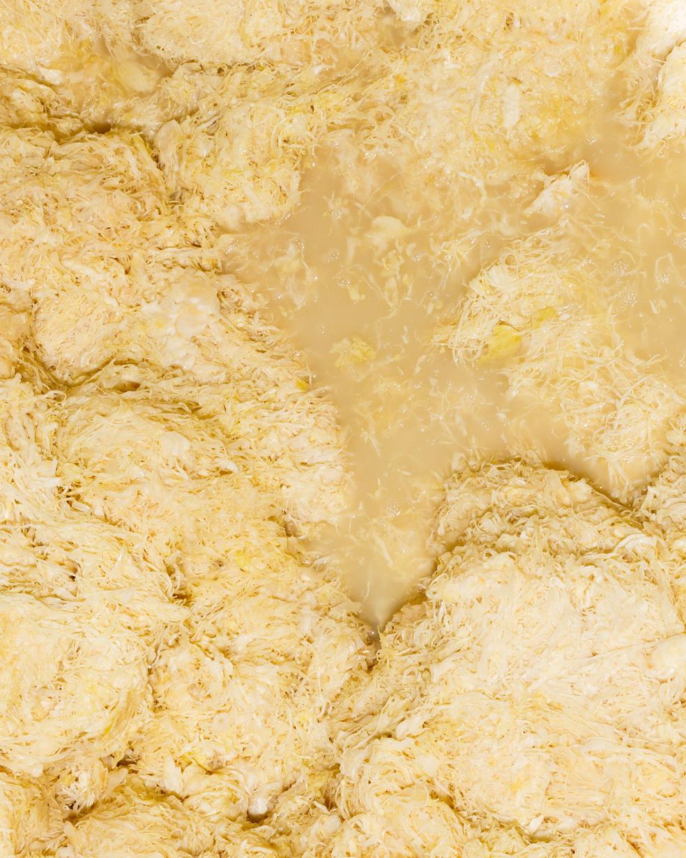 Wildfermentation: Warum unser Sauerkraut ein echtes Naturprodukt ist